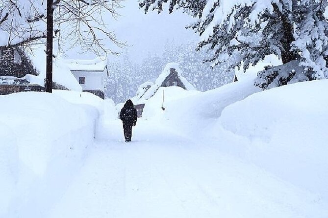 Shirakawago and Takayama 2 Days Tour From Osaka or Kyoto - Accessibility and Participation