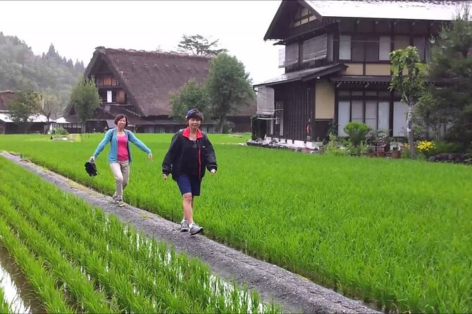 Shirakawago Day Trip: Government Licensed Guide & Vehicle From Takayama - Review and Rating