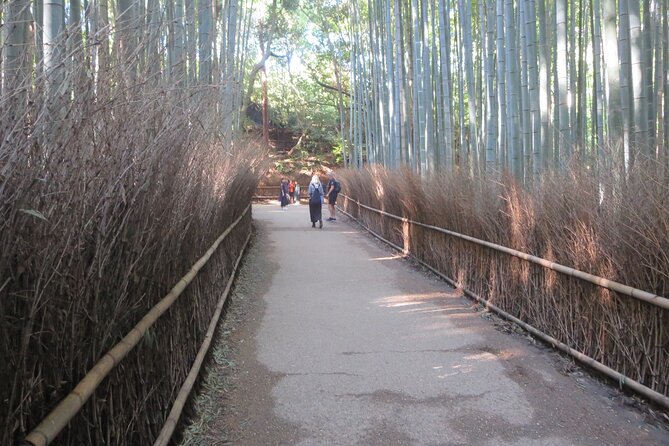 Shore Excursion: Full Day Private Kyoto Tour From Osaka/Kobe Port - Concerns and Complaints