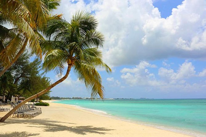 Shore Excursion: Grand Cayman Beach & Off The Beaten Track Tour - Operating Hours