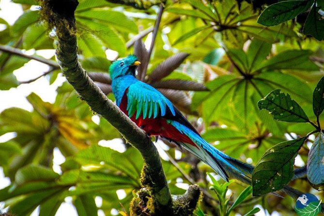 Shuttle Service From San Jose To Monteverde - Confirmation and Cancellation Policy
