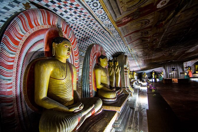 Sigiriya Lion Rock & Dambulla Tour Review - Wheelchair and Stroller Accessibility