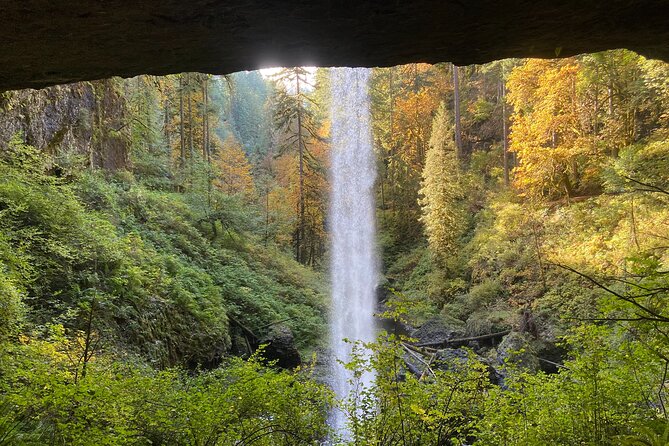 Silver Falls Waterfall Hiking Tour From Portland - Positive Experiences From Traveler Reviews