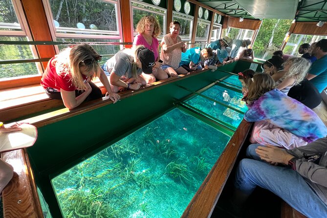 Silver Springs Glass-bottom Boat Tour Review - Gliding Through the Glass-bottom Boat