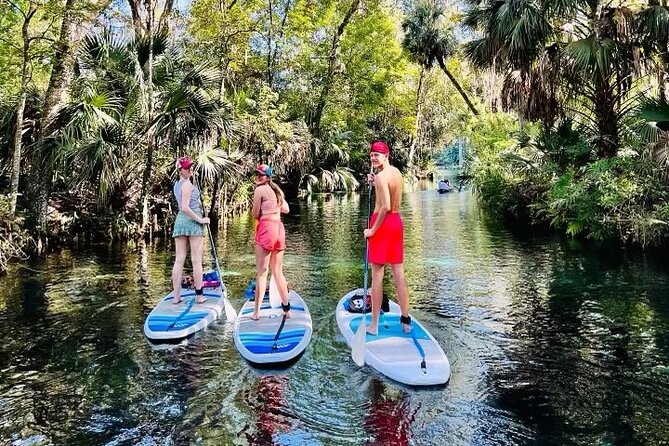 Silver Springs Kayak Rental Review: An Adventure Awaits - Communication With Tour Operator