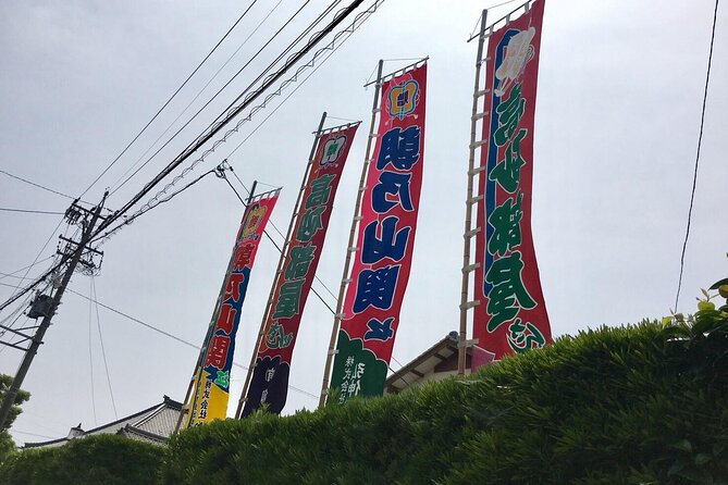 Skip the Line Ticket to Sumo Morning Practice at Nagoya - What to Expect