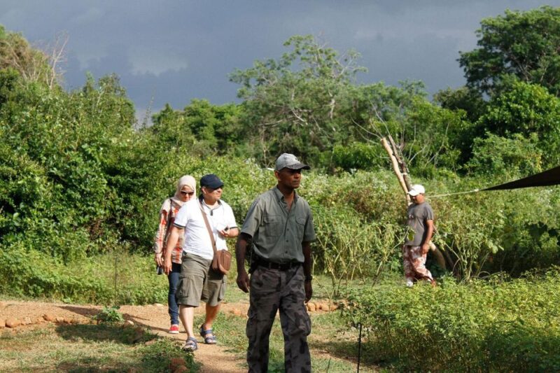 SL : 2 Nights Luxury Wild Experience in Leopard Nest Yala - Transportation and Pickup