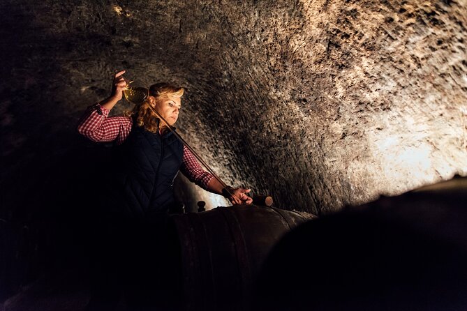 Slovak Tokaj Wine Tasting at Tokaj & CO - Guest Reviews and Ratings