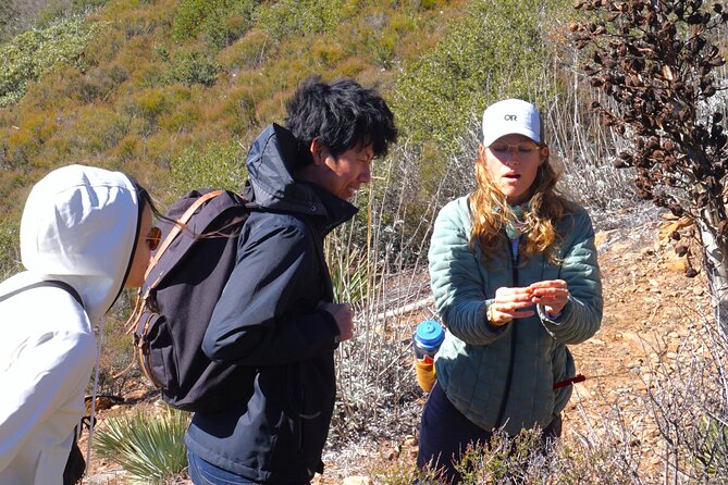 Small Group Hike Through San Diegos Heart and Soul - Essential Gear and Supplies