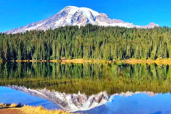 Small Group Mt Rainier National Park Day Tour From Seattle 2CANGO - Highlights of the Tour