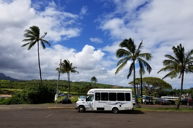 Small-Group Waimea Canyon Adventure Tour & Beyond With Lunch - Reviews and Feedback