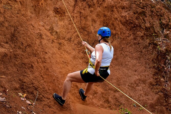 Small Group Waterfall Rappel in Lihue - Navigating the Rappel Experience