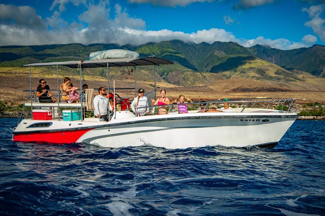 Small-Group Whale Watching Adventure - Discounts for Repeat Customers