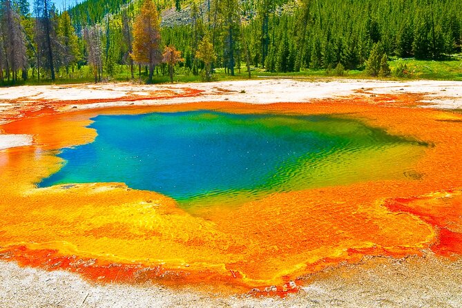 Small Group Yellowstones Lower Loop Tour Review - Traveler Experiences