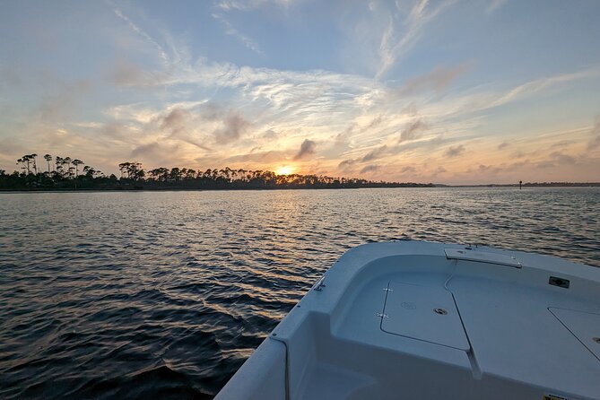 Snorkeling, Dolphin and Wildlife Sightings at St. Andrews Bay - Exploring St. Andrews Bay