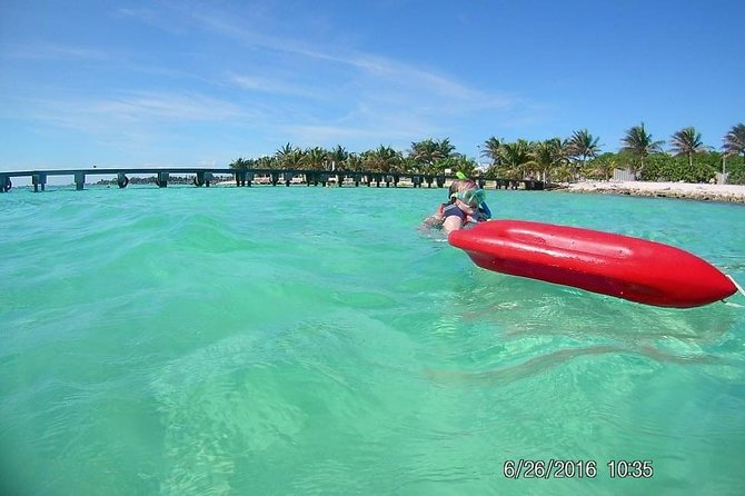 Snorkeling Tour by Boat (Amazing Excursion to the Turtle Area) - Customer Feedback