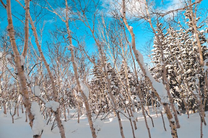 Snowshoe Adventures and Onsen Bliss Winter Escape in Furano - Taking in the Winter Wonderland