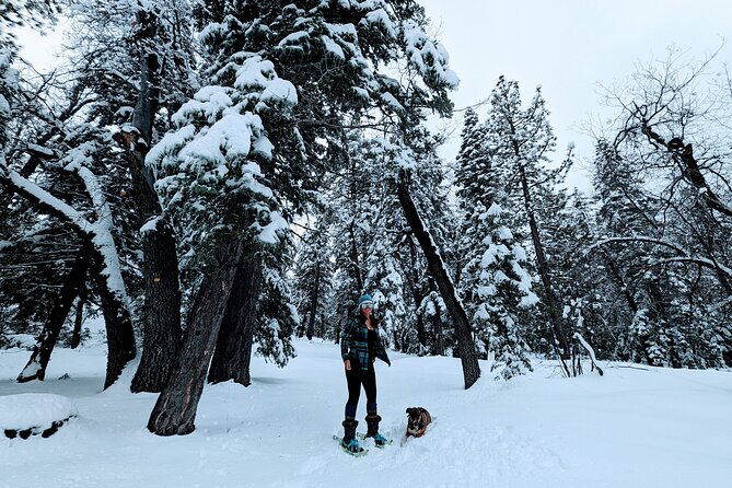 Snowshoe Tour Big Bear Lake Review - Hot Chocolate and Refreshments
