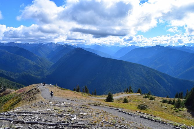 Sol Duc, Lake Crescent, and Hurricane Ridge Guided Tour in Olympic National Park - Ascending to Hurricane Ridge