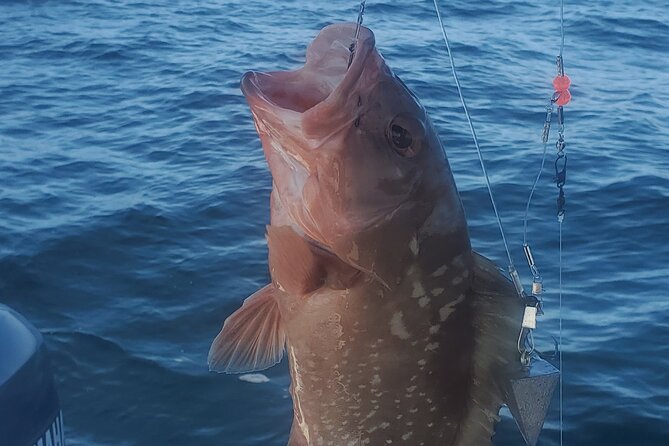 Sonnys Boat Tours Half Day Fishing Charter Review - The Fishing Experience