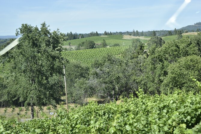 Sonoma and Napa Wine Tour Private Tours 8 to 10 Hours Max 14 Pax - Booking Process and Cancellation Policy