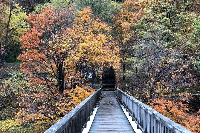Sounkyo Gorge Autumn Leaves Ice Pavilion Day Tour by Private Car - Group Size and Duration