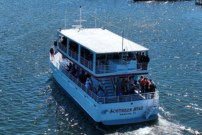Southern Star Dolphin Cruise - Highlights