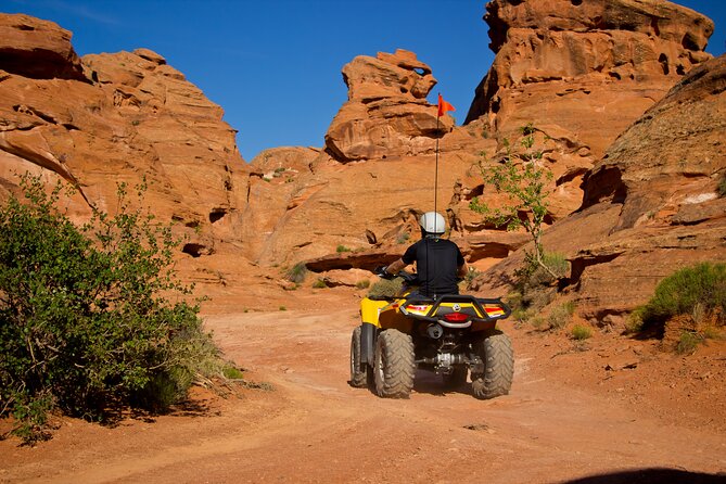 Southern Utah Full-Day ATV Tour - Guest Experiences