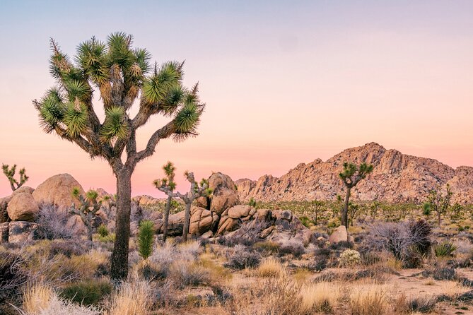 Southwest USA Discovery: Ultimate Self-Guided Road Trip Bundle - Flexibility and User-Friendly App