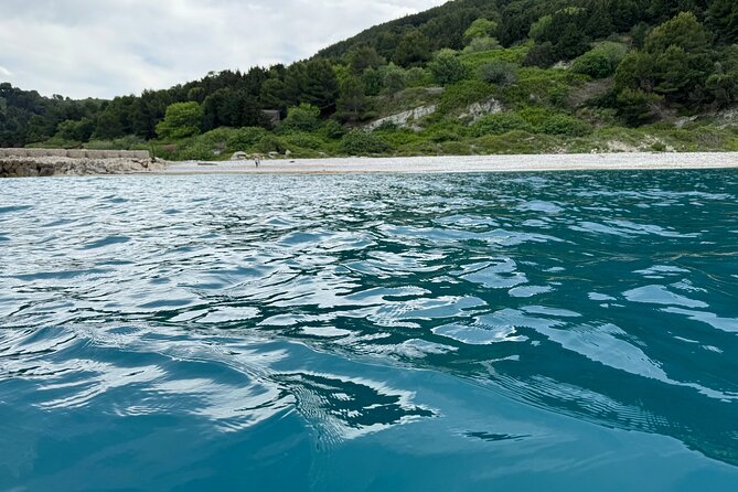 Speedboat Tour to Sazan Island, Haxhi Ali Cave and Marine Park - Reviews and Traveler Feedback