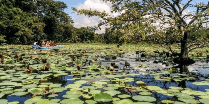Splendors of Sigiriya: All-Inclusive Private Journey - Frequently Asked Questions
