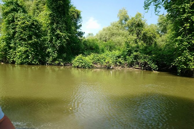 Sport Fishing in Delta Dunarii With Camely Cruise Boat. - Booking and Confirmation Process