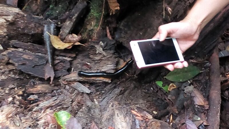 Sri Lanka Rainforest Trekking, Wildlife Safari, Water Sport - Cancellation Policy