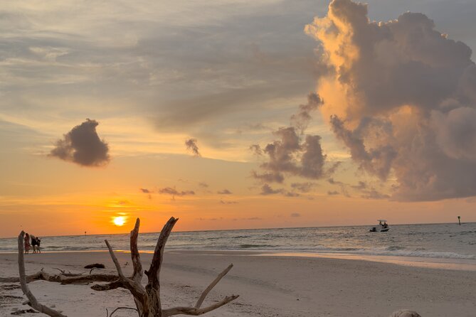 St. Pete Dolphin Watching and Island Sunset Cruise - Knowledgeable Guide Provides Insights About the Area