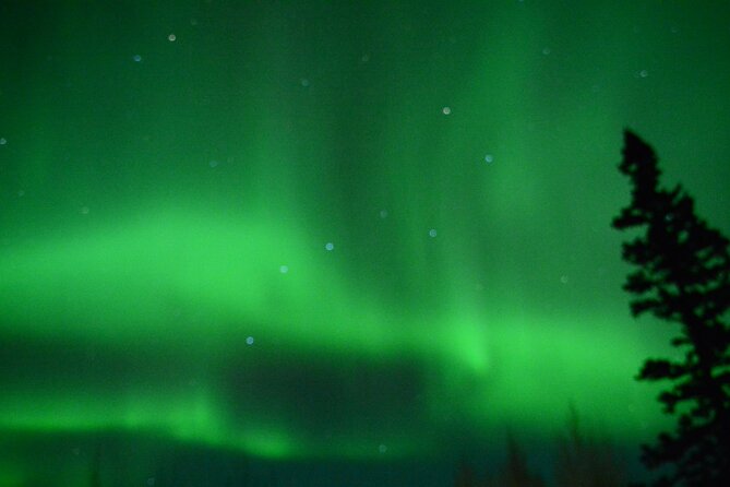 Starlight Snowshoe Adventure in Alaska - Tips for an Unforgettable Snowshoe Experience