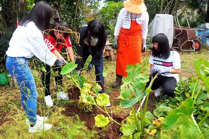 Stay With a Local Family in Ojika Island Japan - Interacting With the Homestay Family