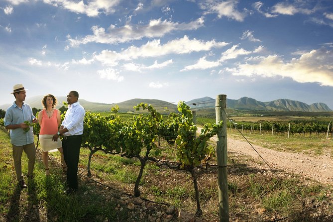 Stellenbosch, Paarl & Franschhoek Private Full Day Wine Tour - Accessibility Features