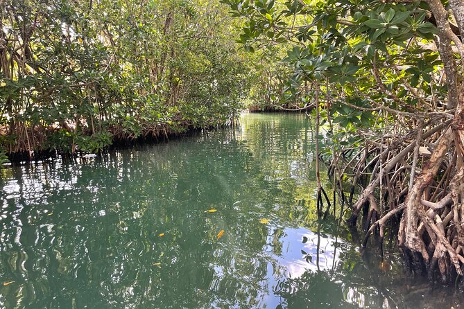 Sunset Cruise in Key Largo: Review - Reviews and Feedback From Participants