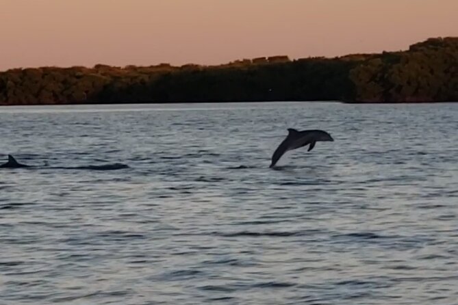 Sunset Cruise to Johns Pass Review - Authentic and Verified Reviews