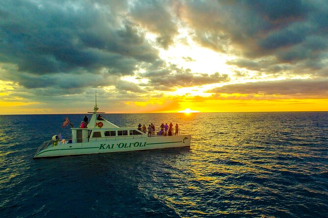 Sunset Dolphin Watch Cruise Review - Whale Sightings and Turtle Encounters