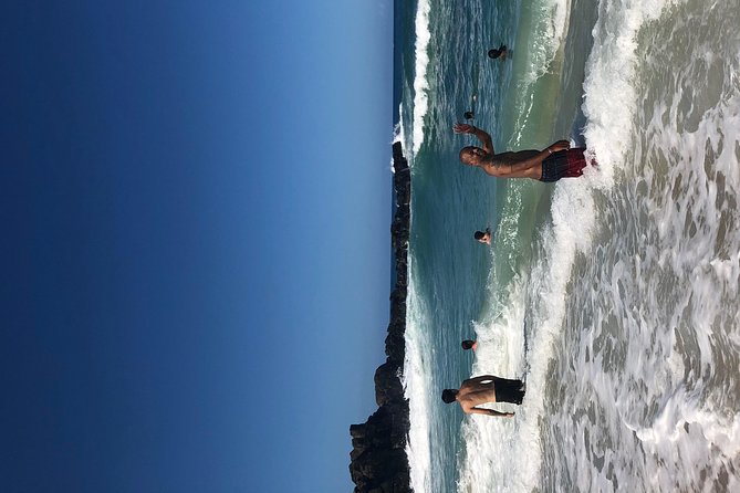 Surf and SeaTurtles Oahu Tour - Booking and Cancellation Policy