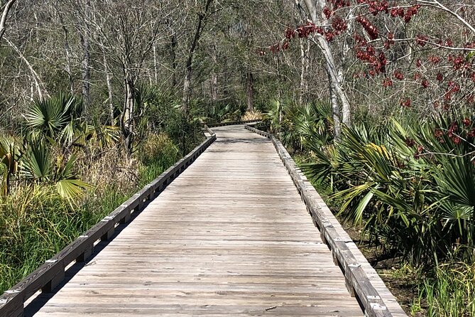 Swamp Eco-Cruise and Walking Tour Review - Booking and Logistics