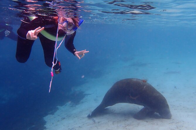 Swim With Manatees In Crystal River, Florida - Entering the Manatee Sanctuary