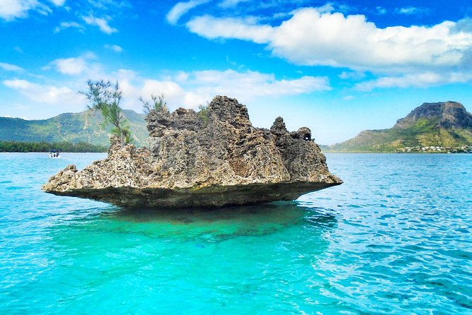 Swim With Wild Dolphins & Benitiers Island With Lunch & Transport - Cancellation Policy