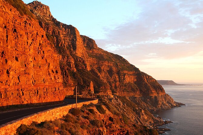 Table Mountain, Cape Point & Penguin Beach ENTRANCE INCLUDED - Guest Experiences