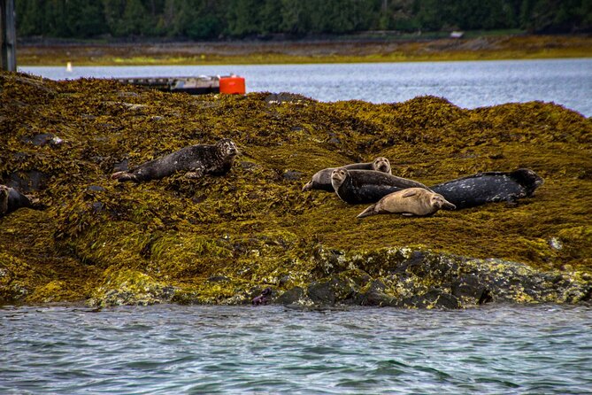 Tales & Tides: Alaskan Lore Cruise Review - Frequently Asked Questions