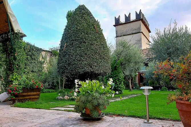 Tasting of Valpolicella and Amarone Wines Near Fumane - Accessibility and Participation