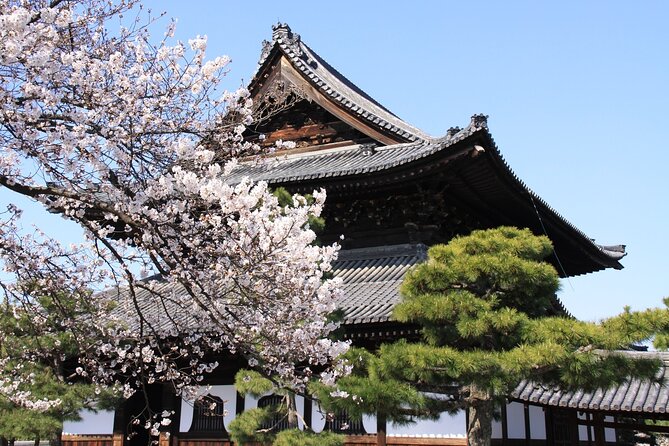 Tea Ceremony Experience & Nishiki Market Walking Tour - Highlights of the Tour