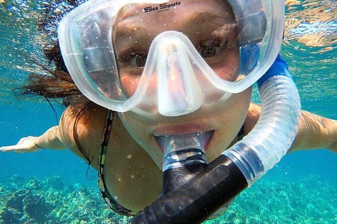 The Best 2.5 Hour Molokini Snorkel Tour & Whale Watch - Highlights of the Tour