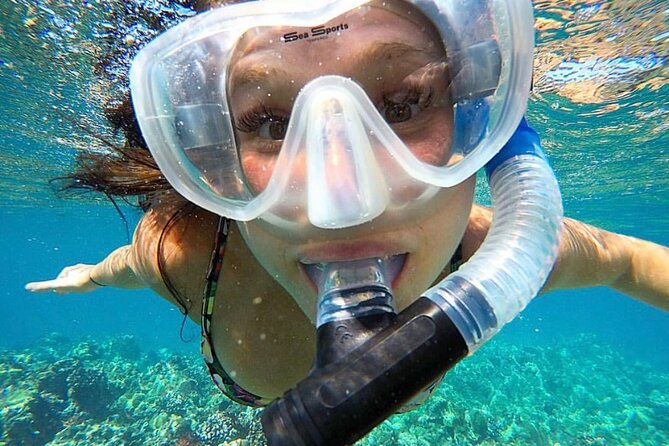 The Best 2 Hour Molokini Express Snorkeling - Wildlife Sightings